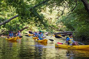 A group of people ayaking down a river